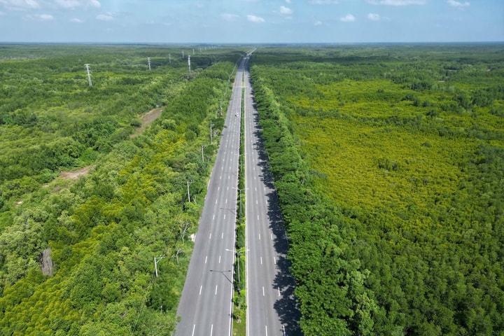 Sắp khởi công đường vượt biển, Cần Giờ đi Vũng Tàu còn 10 phút