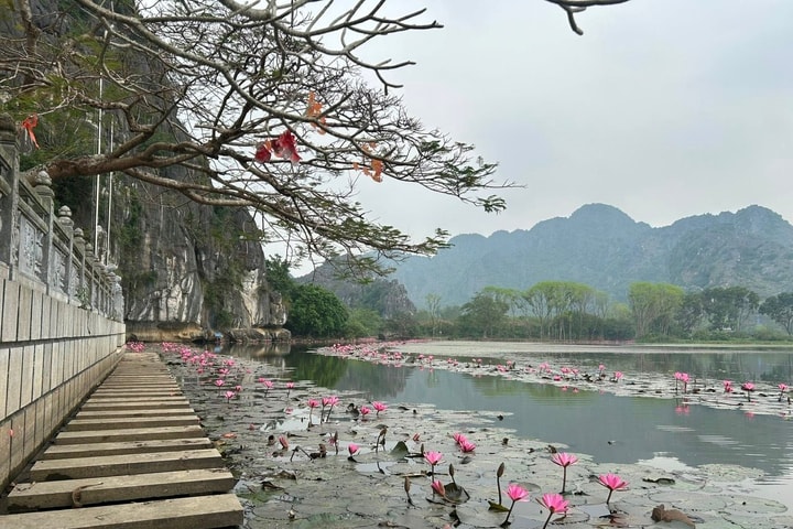 Mê đắm cảnh sắc Kim Sơn