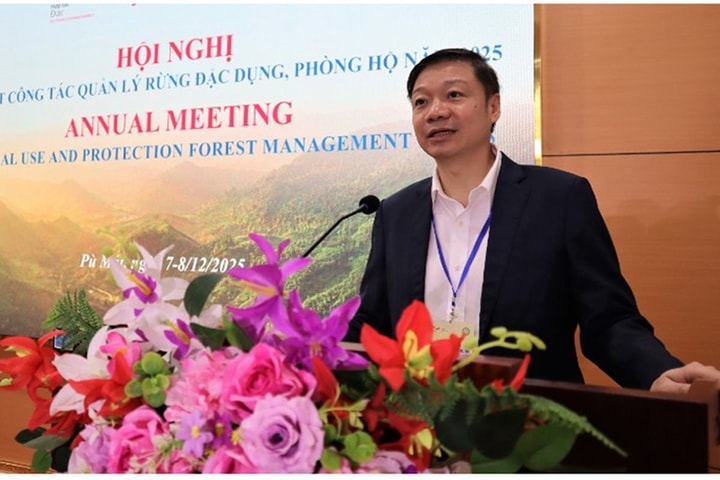 Số vụ phá rừng trái phép và cháy rừng năm 2025 giảm