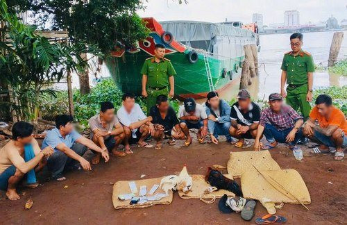 Bắt quả tang 10 đối tượng đánh bạc bằng hình thức đá gà