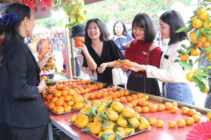 Lễ hội cam Vân Đồn 2025 thu hút đông đảo du khách