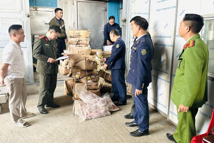 Phát hiện hơn 1,2 tấn thực phẩm đông lạnh không có nguồn gốc