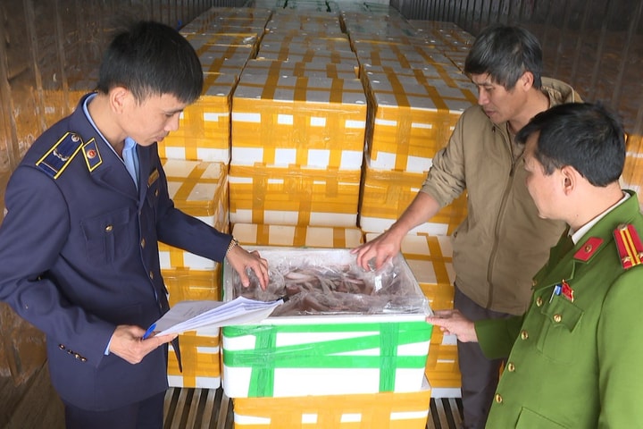 Chặn đứng hơn 10 tấn cá khoai "ngậm" đầy hóa chất độc hại