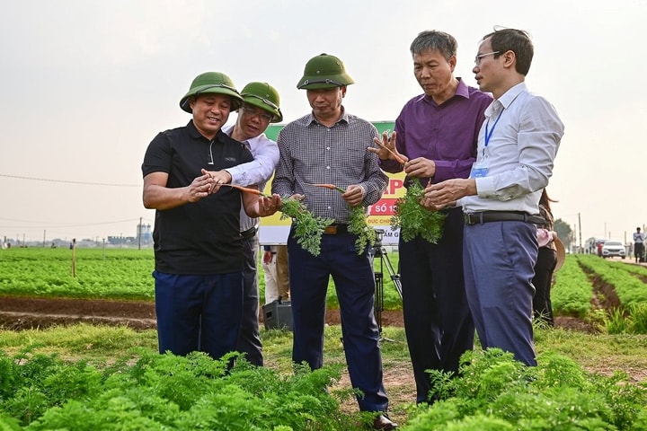 Kết nối nông sản vùng Đồng bằng sông Hồng