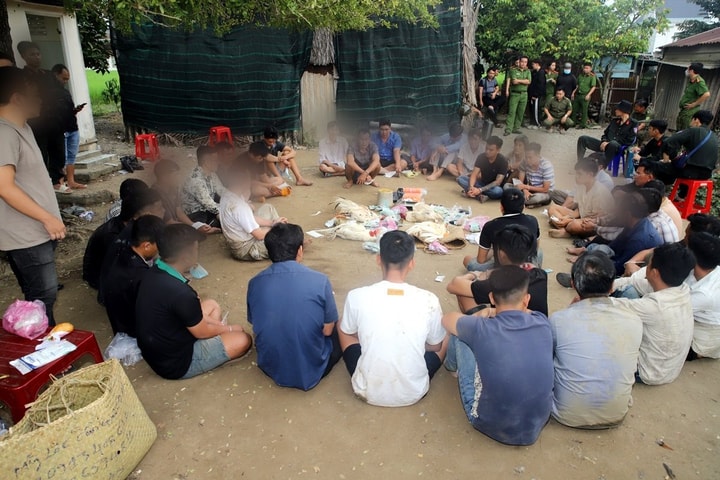 "Đột kích" khu đất trống sau nhà hoang, bắt quả tang 35 đối tượng đá gà