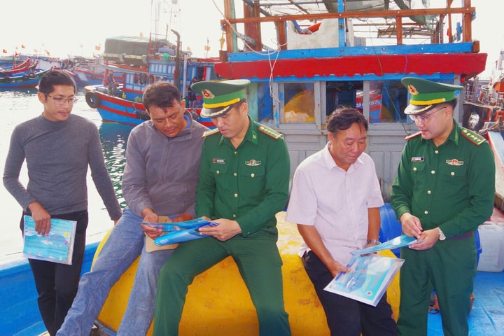 Quảng Ngãi chi hơn 20 tỷ đồng hỗ trợ chuyển đổi nghề, giải bản tàu cá