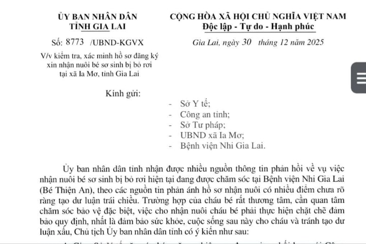 Tỉnh Gia Lai chỉ đạo kiểm tra, xác minh hồ sơ xin nhận nuôi bé sơ sinh bị bỏ rơi