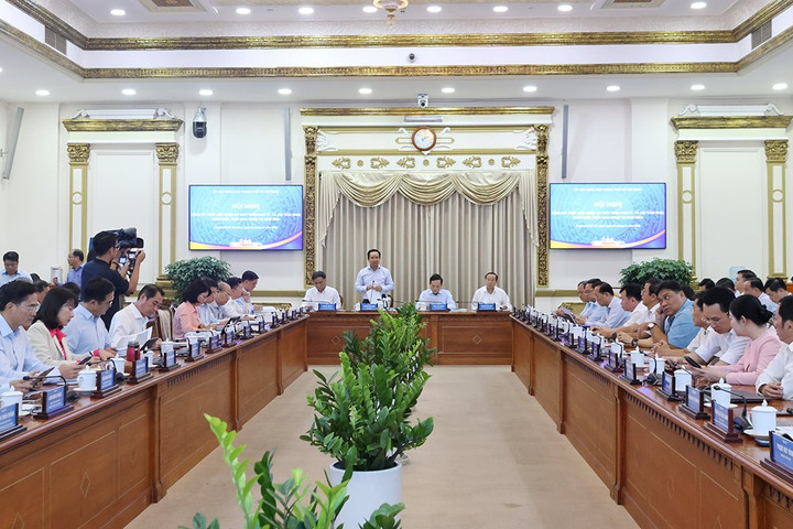 Bức tranh toàn cảnh TP.HCM năm 2025