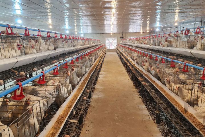 Lồng ghép nhiều chính sách trong công tác giảm nghèo tại Hà Tĩnh