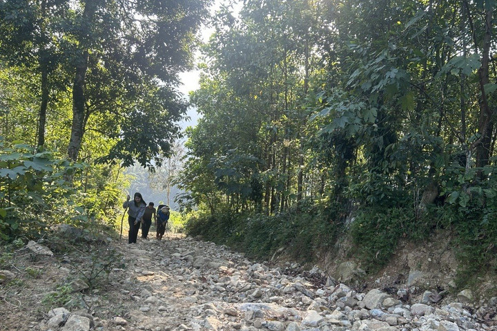 Gỡ khó tình trạng “lõm sóng”, sóng yếu tại khu vực miền núi, biên giới
