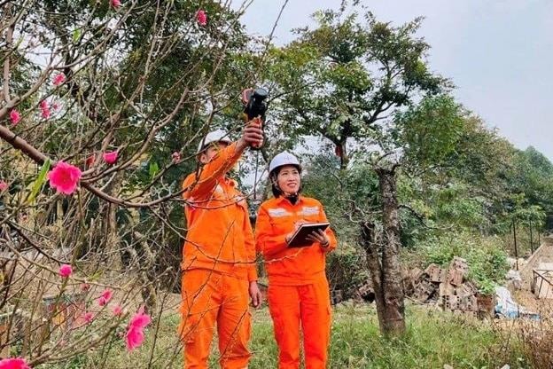 Lời chào năm mới từ những người giữ dòng điện miền Bắc