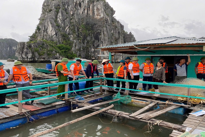 Quảng Ninh tăng cường xử lý vi phạm nuôi trồng thủy sản
