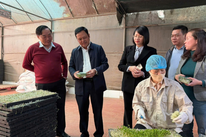 Hà Nội chủ động nguồn cung nông sản, thực phẩm phục vụ Tết Nguyên đán 2026