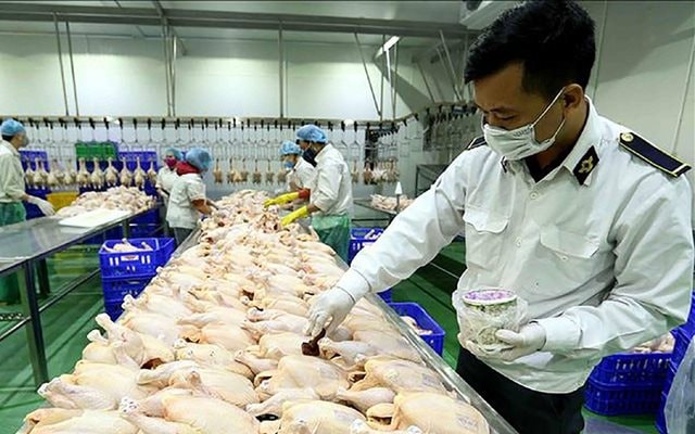 Những động vật, sản phẩm động vật trên cạn thuộc diện phải kiểm dịch