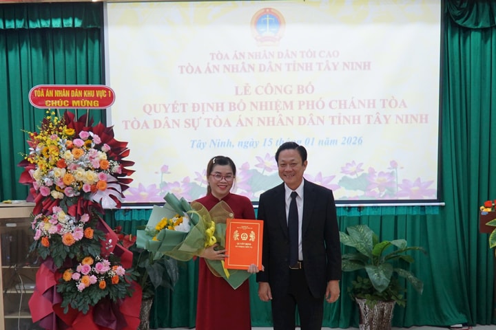 Bà Nguyễn Thị Diễm Hằng làm Phó Chánh tòa Tòa Dân sự TAND tỉnh Tây Ninh