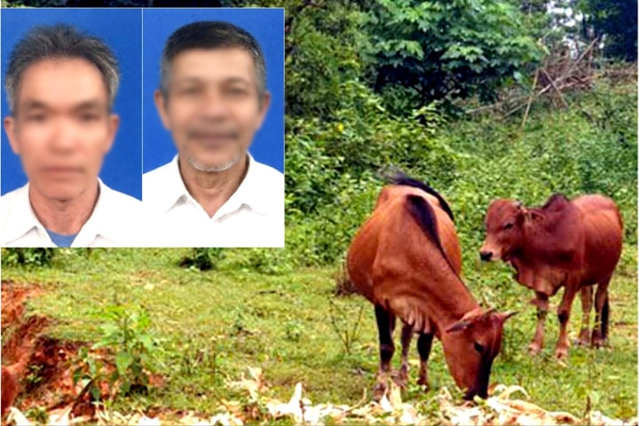 Bò phá vườn keo, anh em trai dùng dao chém nhau
