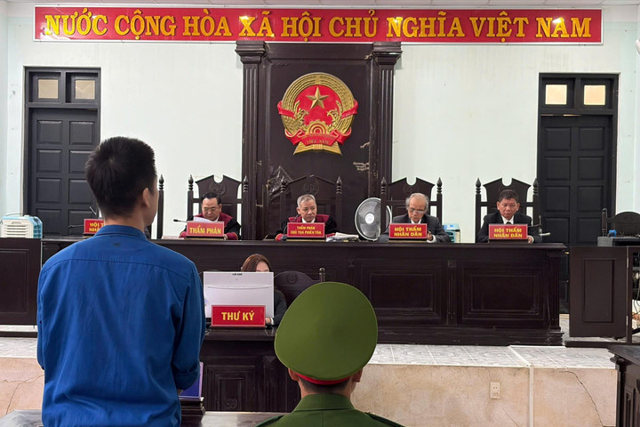 Dựng kịch bản đấu giá bất động sản để lừa đảo hơn 13,8 tỷ đồng