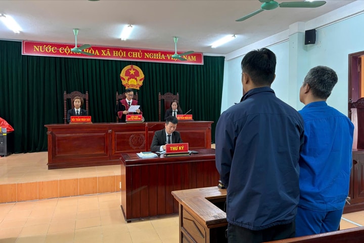 'Cò' ghép thận lĩnh án