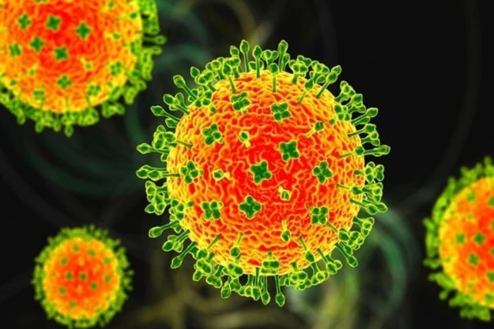 An Giang siết chặt phòng dịch do virus Nipah