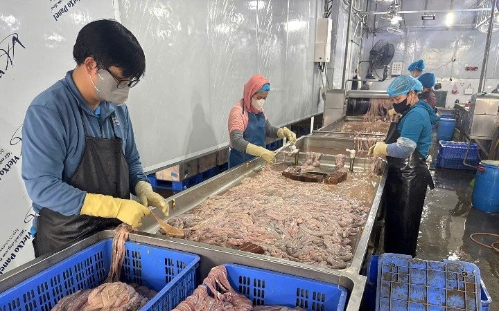 Thu giữ gần 60 tấn lòng lợn đổi màu, bốc mùi hôi thối ở Hà Nội