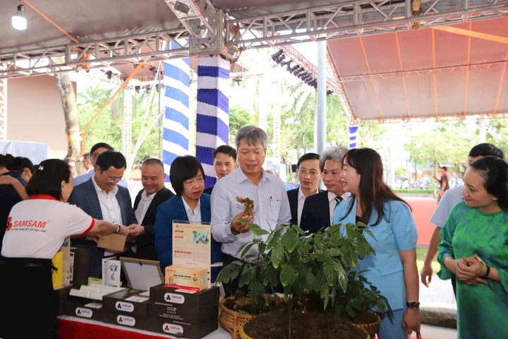 Ứng dụng công nghệ cao, nâng giá trị sâm Ngọc Linh và dược liệu Đà Nẵng