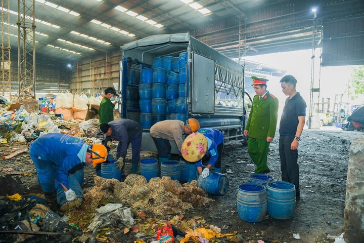 Hải Phòng tiêu hủy hơn 5 tấn giá đỗ sử dụng chất cấm