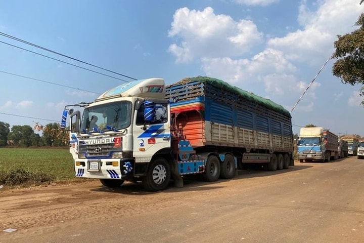 Tháo gỡ vướng mắc trong triển khai Nghị định 46/2026/NĐ-CP về an toàn thực phẩm