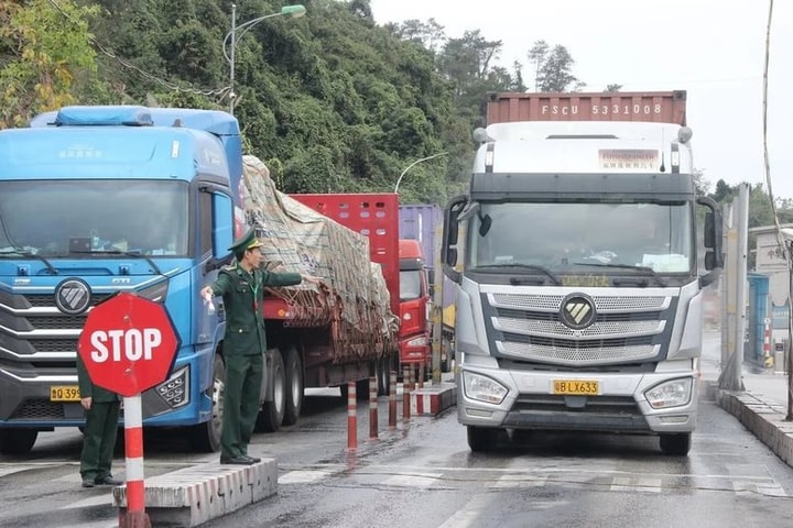 Tạm dừng áp dụng Nghị định số 46 về an toàn thực phẩm đến hết ngày 15/4/2026