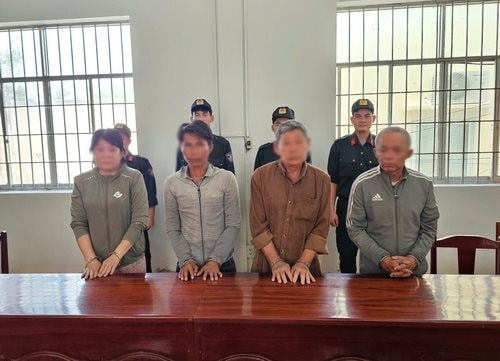 Bắt nhóm đối tượng làm giấy tờ giả để bán đất rừng phòng hộ
