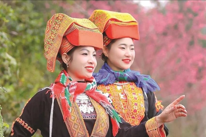Mùa xuân trên đỉnh Mẫu Sơn