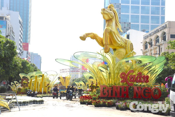 Diện mạo tổng thể đường hoa Nguyễn Huệ