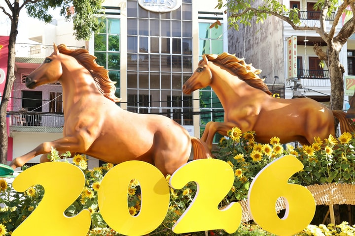 Cần Thơ: Ngập tràn sắc Xuân trên đường hoa nghệ thuật năm 2026