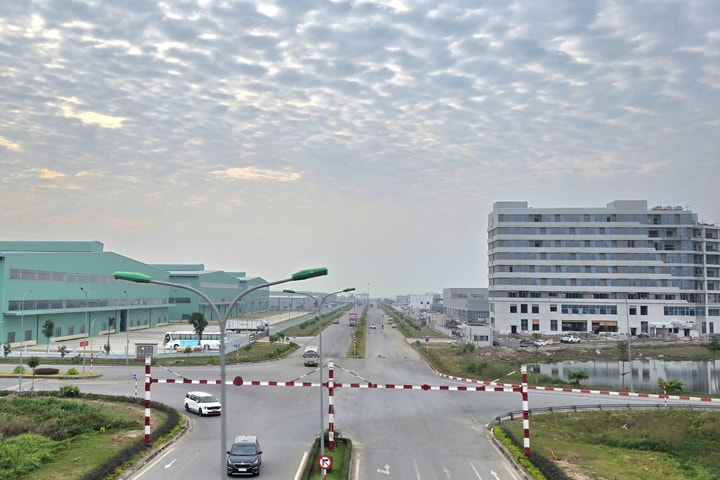 Thành lập Khu kinh tế chuyên biệt tại Hải Phòng giai đoạn 2026 - 2030