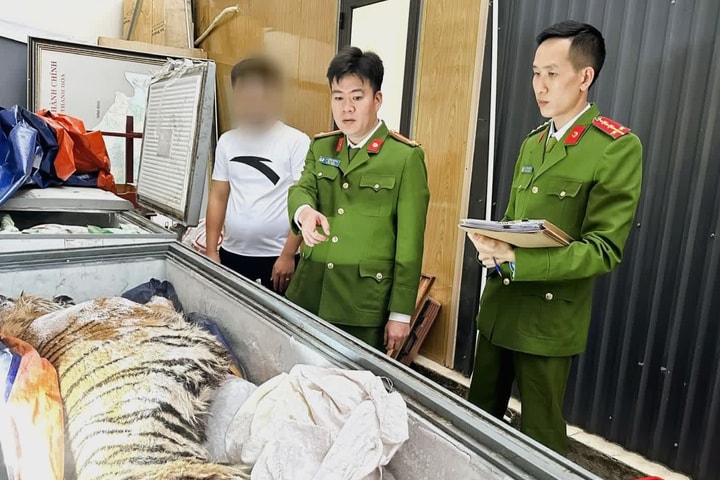 Xây hầm bí mật dưới lòng đất để nấu cao hổ