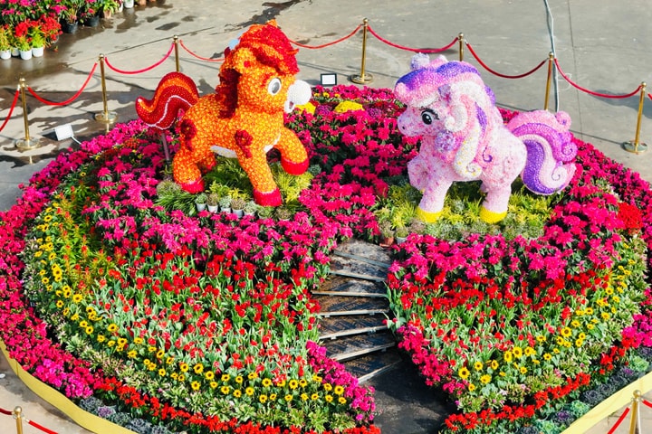 Điểm đến du xuân mới bên bờ vịnh Hạ Long