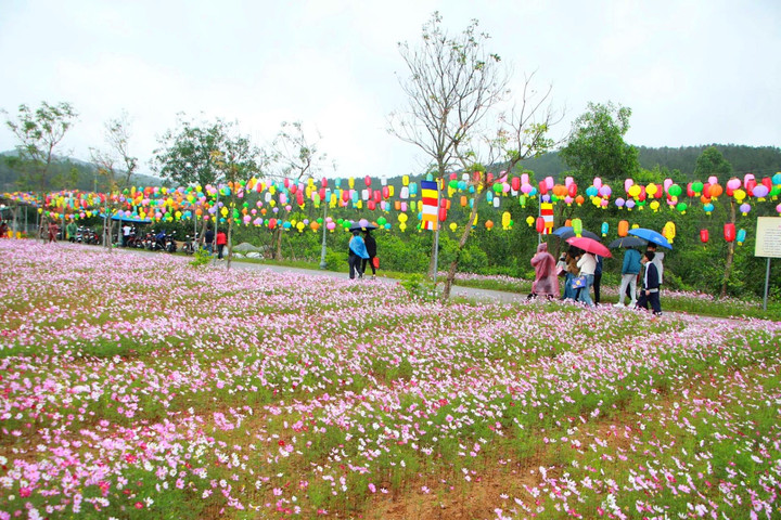 Gần 5.000 lượt khách hành hương về chùa Hương Tích những ngày đầu năm