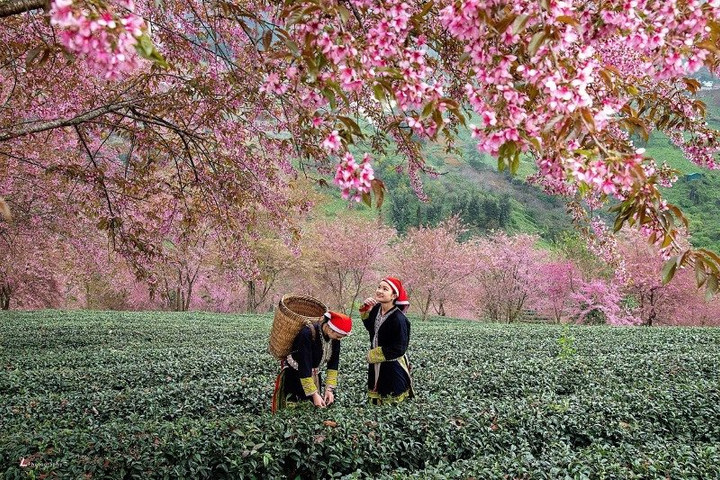 Sắc xuân miền biên viễn