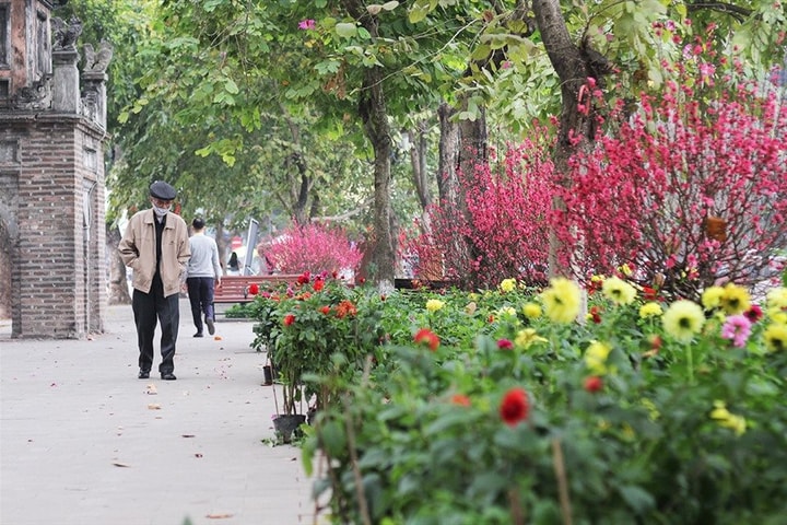 Thời tiết ngày mùng 4 Tết: Miền Bắc tăng nhiệt nhẹ