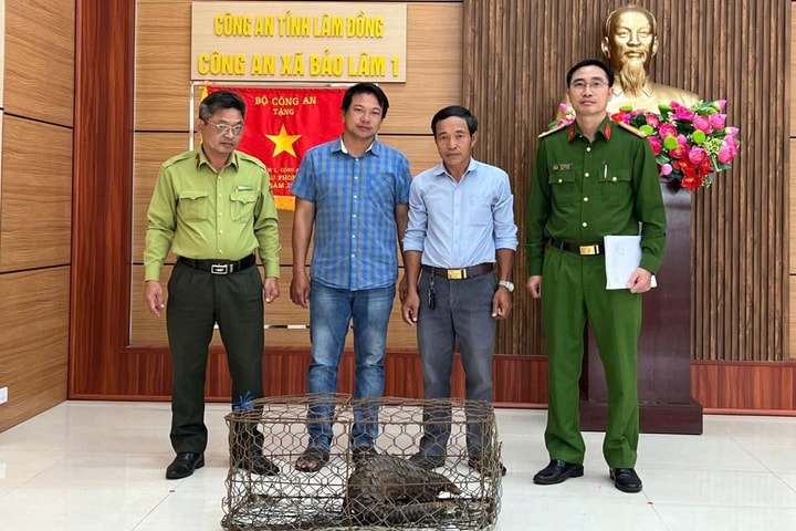 Lâm Đồng: Người dân giao nộp tê tê trong ngày đầu năm mới