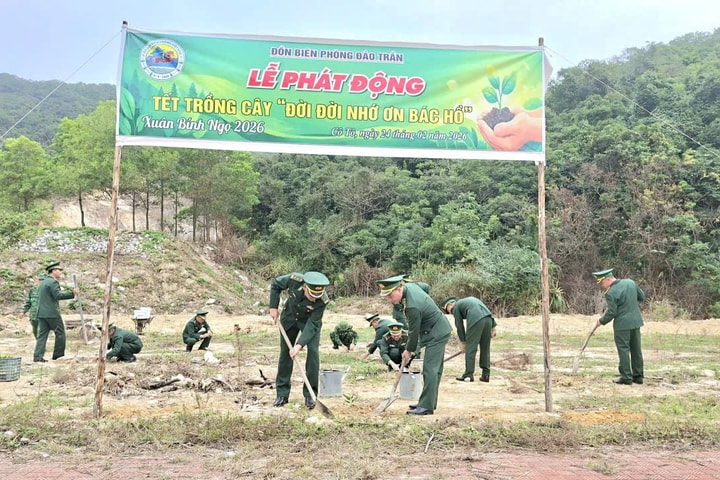 Tết trồng cây ở Đảo Trần - giữ màu xanh thiêng liêng nơi đầu sóng