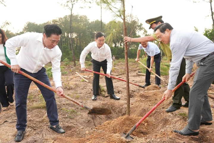 Huế ra quân trồng cây đầu Xuân, vun đắp tương lai bền vững