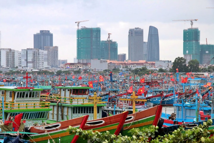 Tăng cường phối hợp quản lý tàu cá mua từ Đà Nẵng