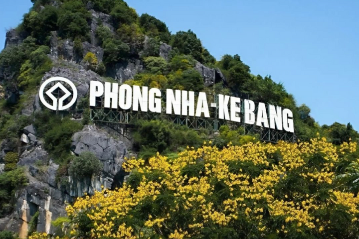 Không đánh đổi rừng lấy tăng trưởng