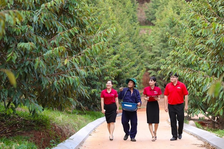 “Cầu nối” Agribank để phát triển năng lượng xanh tại Việt Nam