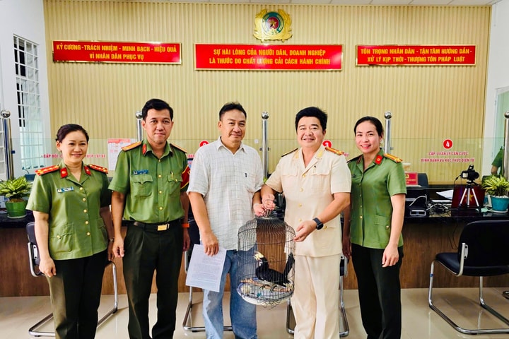 Biểu dương người dân giao nộp cá thể chim quý hiếm bay lạc vào nhà