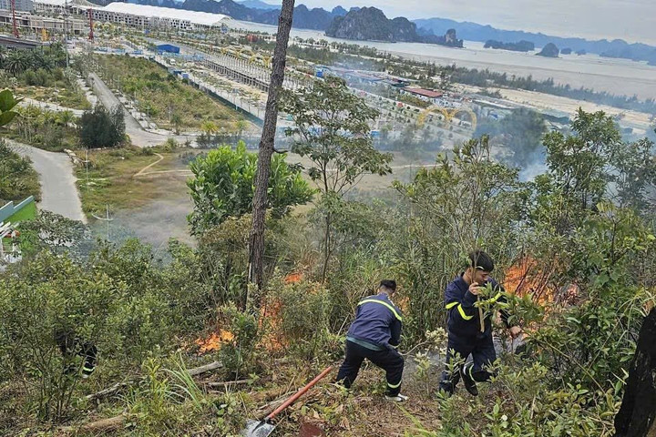 Ngăn chặn kịp thời đám cháy ở đặc khu Vân Đồn