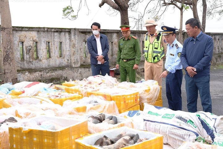 Phát hiện hơn 2,6 tấn nội tạng động vật không rõ nguồn gốc