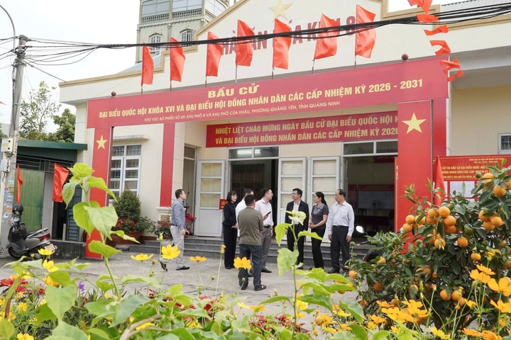 Những người lặng thầm chuẩn bị cho ngày hội non sông ở Quảng Ninh
