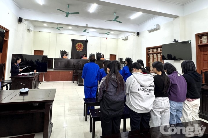 Bản tin Podcast Pháp đình ngày 14/3/2026