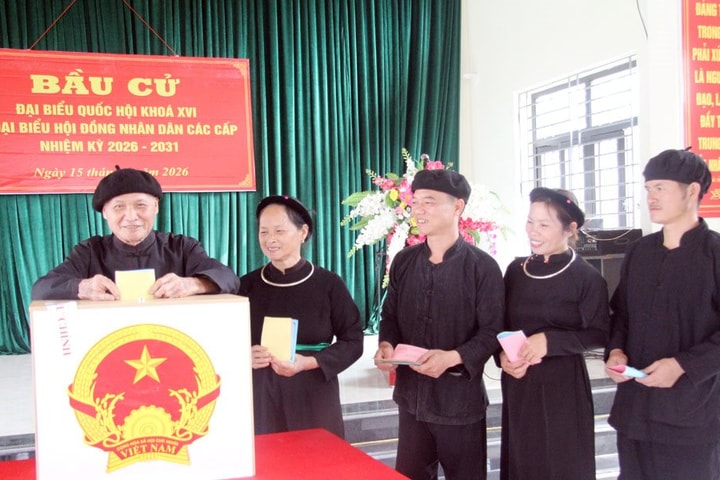 Bắc Ninh: 99,16% cử tri tham gia bầu cử
